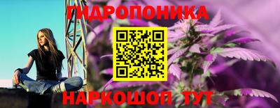 ГАЛЛЮЦИНОГЕННЫЕ ГРИБЫ Нарткала