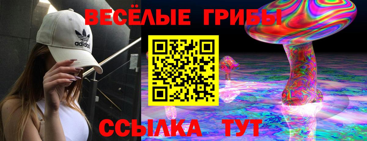 Псилоцибиновые грибы прущие грибы  Псилоцибиновые грибы Psilocybe  Вход с VPN  где можно купить наркотик  Уварово 